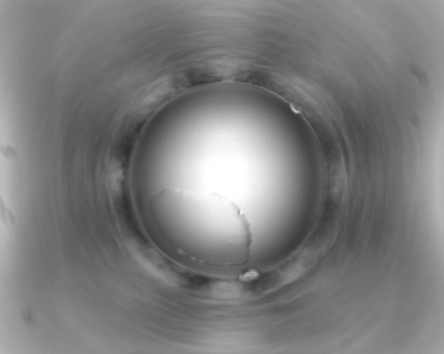 X0000091170279200708091210