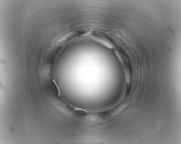 X0000091170280200708091210