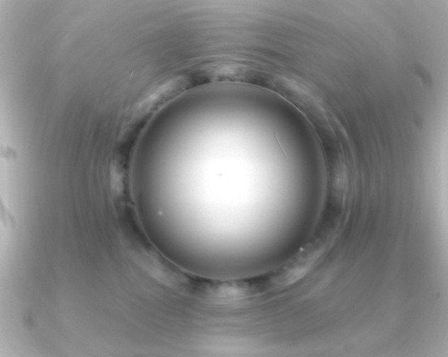 X0000091170282200708091210