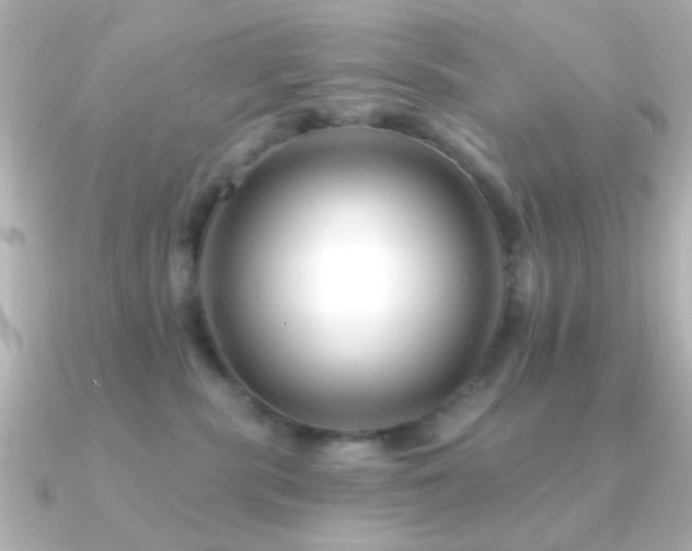 X0000091170283200708091210