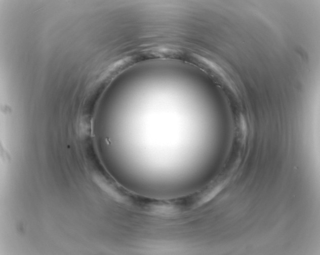 X0000091170284200708091210