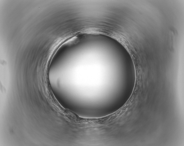 X0000091170289200708091209