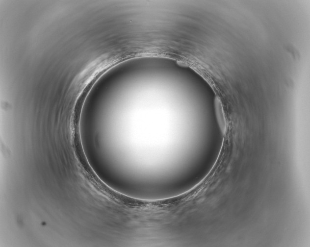 X0000091170290200708091209