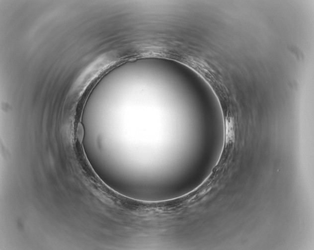 X0000091170291200708091209