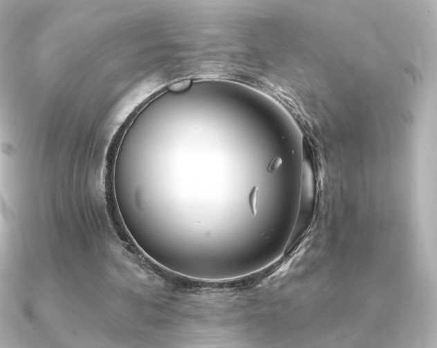 X0000091170292200708091209