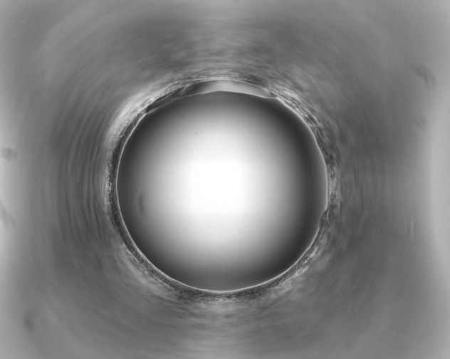 X0000091170293200708091209