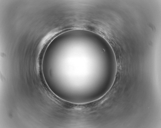 X0000091170294200708091209