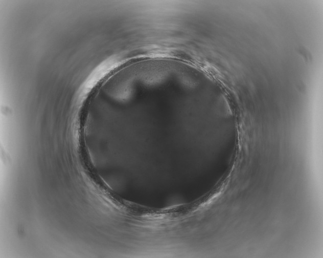 X0000091170295200708091209