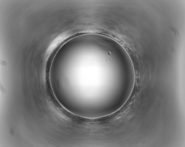 X0000091170296200708091209