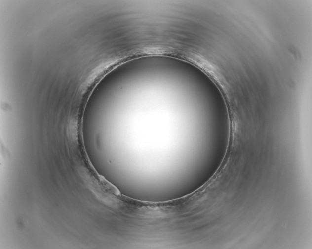 X0000091170297200708091209