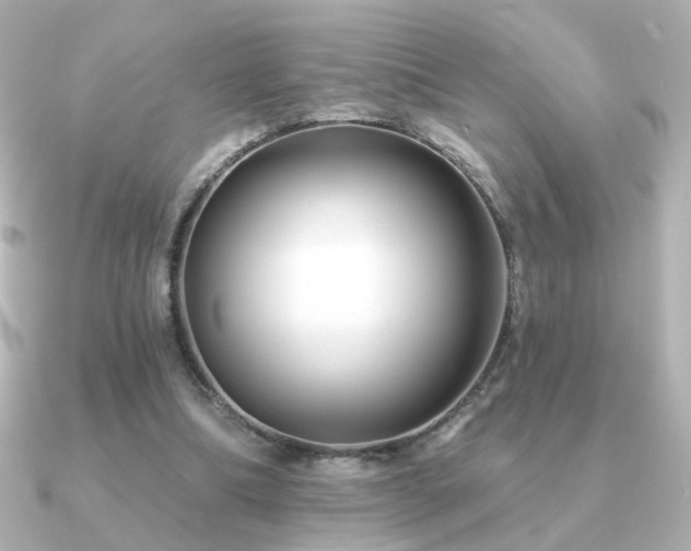 X0000091170298200708091209