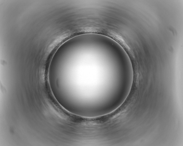 X0000091170299200708091209
