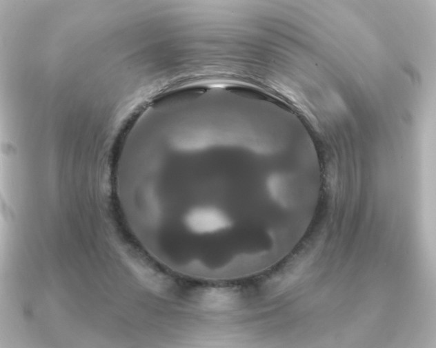 X0000091170303200708091209