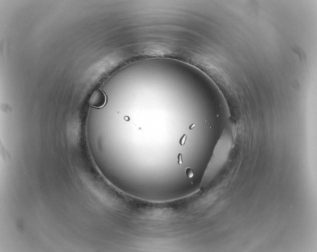 X0000091170304200708091209