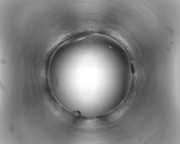 X0000091170306200708091209