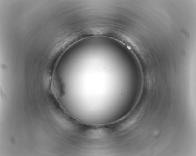 X0000091170307200708091209