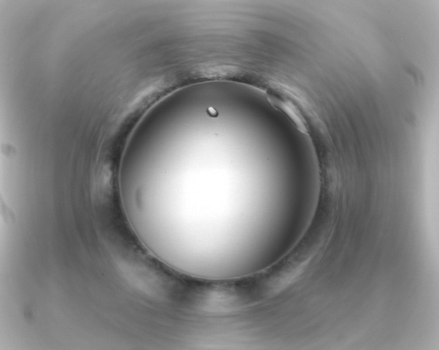 X0000091170308200708091209