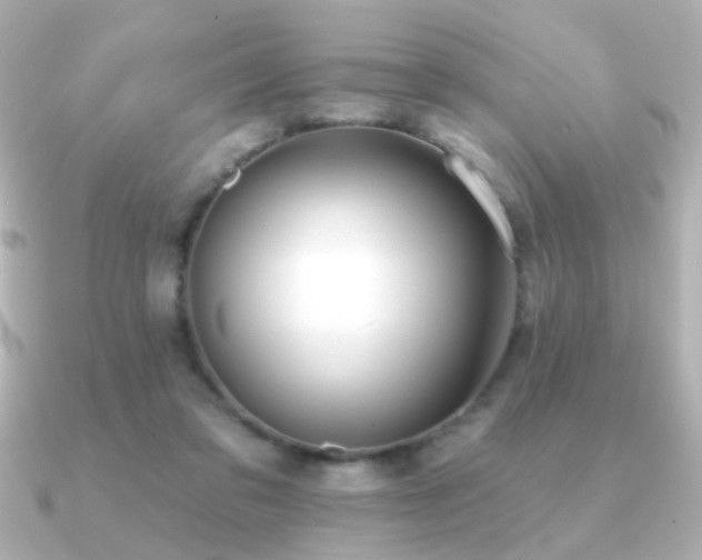 X0000091170309200708091209