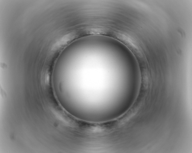X0000091170310200708091209