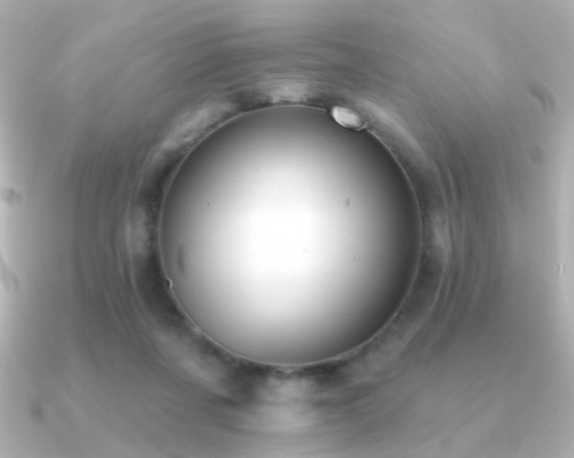 X0000091170311200708091209