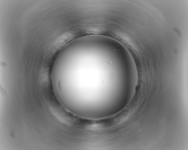 X0000091170312200708091209