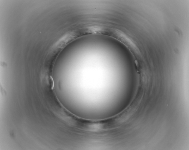 X0000091170313200708091209