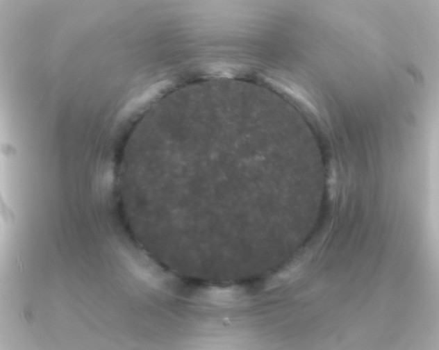 X0000091170314200708091209