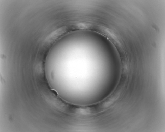 X0000091170317200708091209