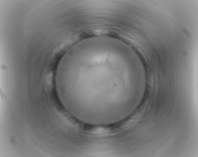 X0000091170319200708091209