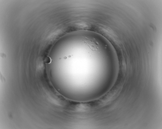 X0000091170320200708091209