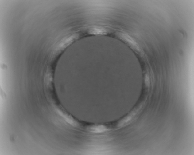 X0000091170322200708091209