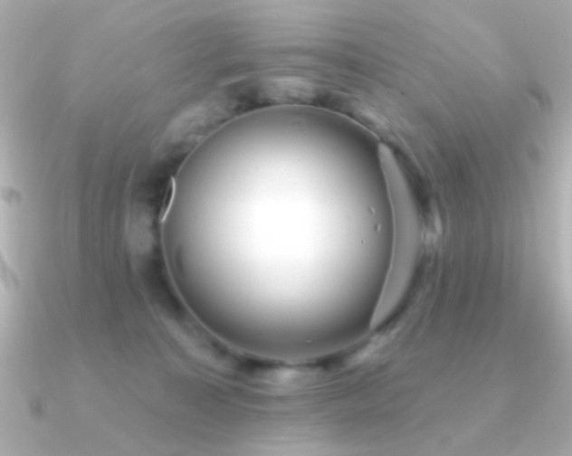 X0000091170323200708091209