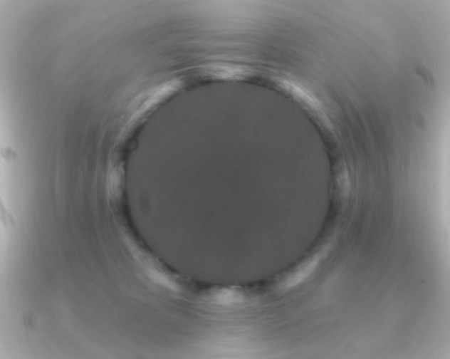 X0000091170325200708091209