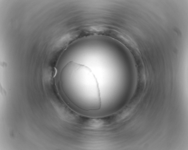X0000091170328200708091209