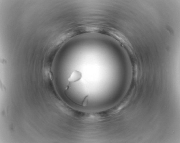 X0000091170329200708091209