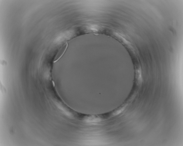 X0000091170331200708091209