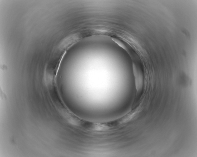 X0000091170333200708091209