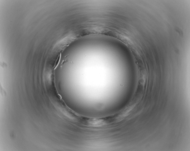 X0000091170334200708091209