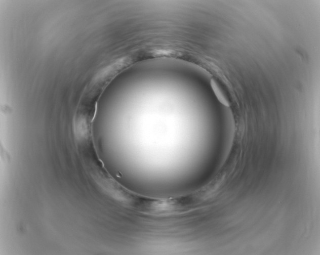 X0000091170335200708091209