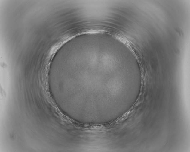 X0000091170337200708091208