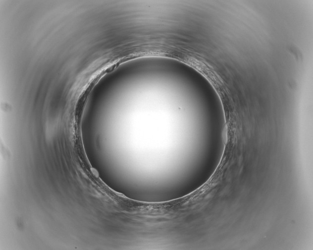 X0000091170338200708091208