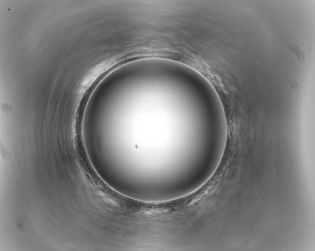 X0000091170340200708091208