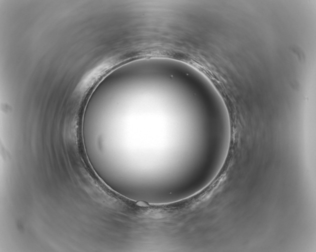 X0000091170341200708091208