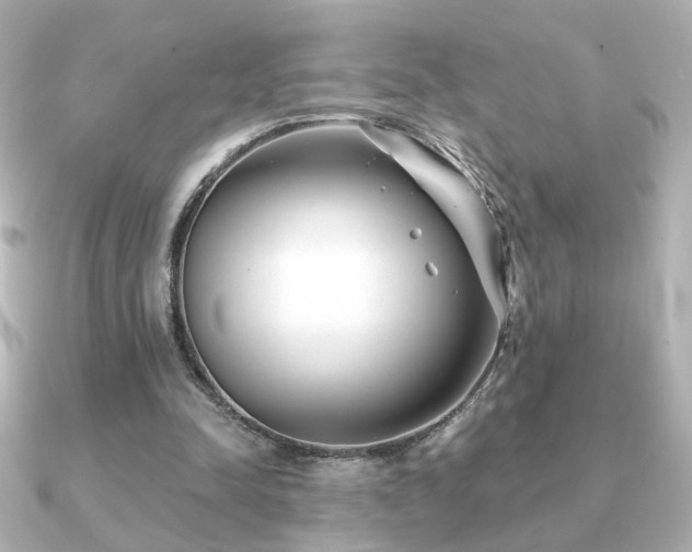 X0000091170342200708091208