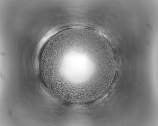 X0000091170343200708091208