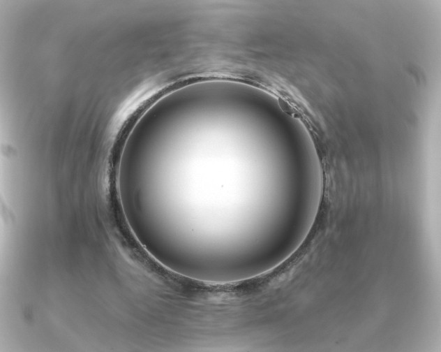 X0000091170344200708091208