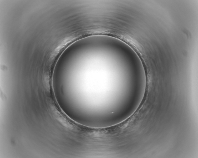 X0000091170345200708091208