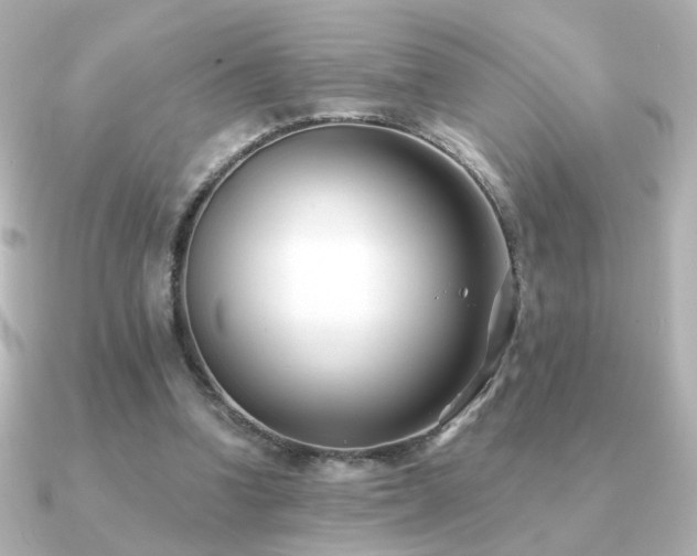 X0000091170346200708091208