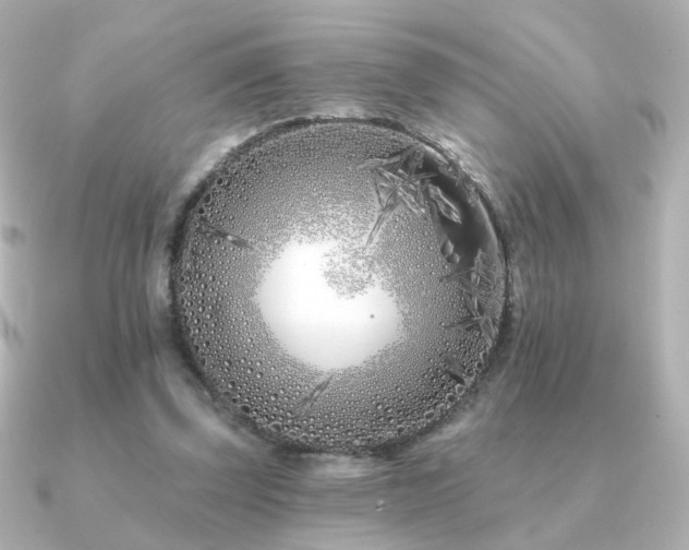 X0000091170347200708091208