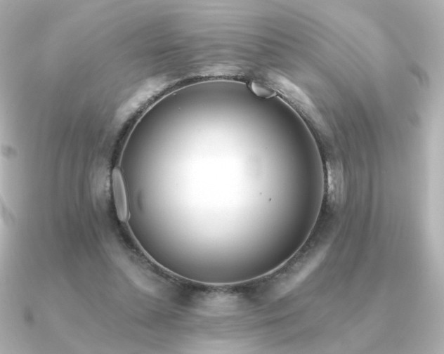 X0000091170348200708091208
